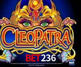 Benefícios da Conta bet236